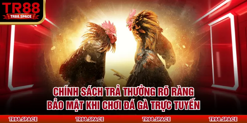 Chính sách trả thưởng rõ ràng, bảo mật khi chơi đá gà trực tuyến