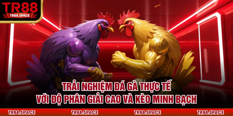 Trải nghiệm đá gà thực tế với độ phân giải cao và kèo minh bạch